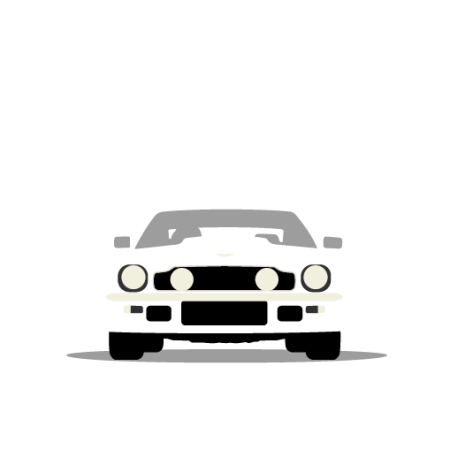 Aston Martin V8 1973-1978