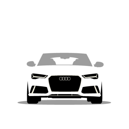 Audi RS6 C7 2012-2019