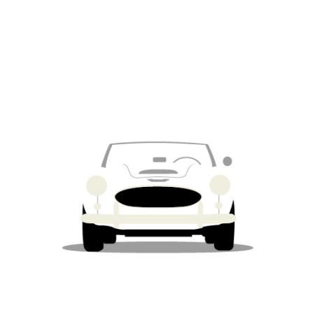 Austin-Healey 1956-1968
