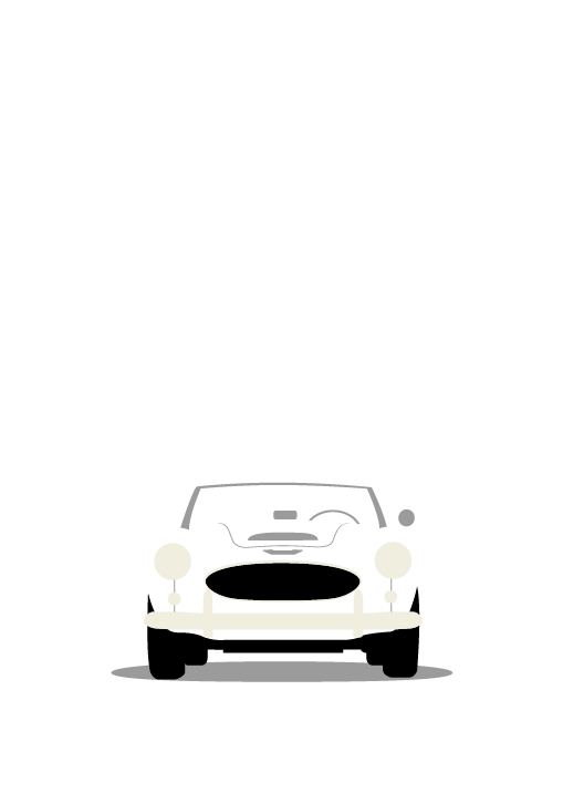 Austin-Healey 1956-1968