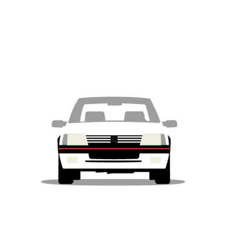 Peugeot 205 GTI 1984-1993