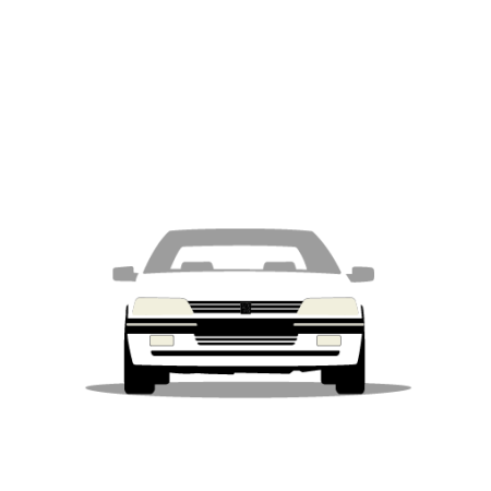 Peugeot 405 Mi16 1987-1995