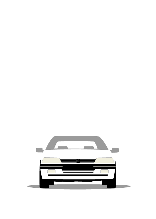 Peugeot 405 Mi16 1987-1995